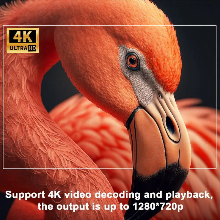 Close-up of a flamingo with 4K Ultra HD text, showing support for 4K video decoding and 1280x720p output.